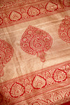 The Queen of Silks: A breathtaking Red Kanchipuram in an exquisite, all-over Gold Jaal.