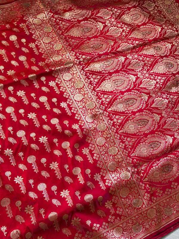 The Varanasi Heritage: Crimson Red Banarasi Saree with Fine Gold Zari Paisley Buttis