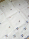 The Anwita Riva: Ivory & Gold Zari Pure Cotton Saree