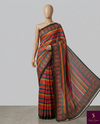 The Bohemian Symphony: Multicolor Striped Tussar Silk Saree with Ikat Borders