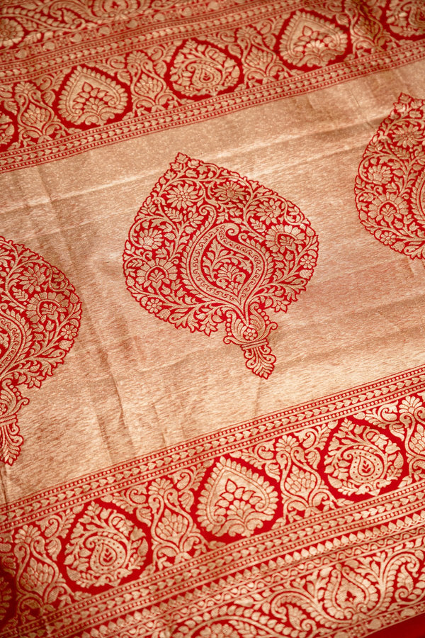 The Queen of Silks: A breathtaking Red Kanchipuram in an exquisite, all-over Gold Jaal.