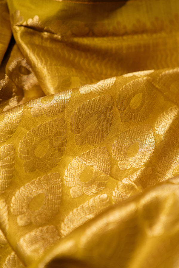 The Earthen Olive: Olive Green Silk Saree with Lime Chevron Border