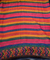 The Bohemian Symphony: Multicolor Striped Tussar Silk Saree with Ikat Borders