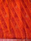 The Ananya Riva: Rust Orange Striped Foil Print Saree