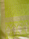 The Vasundhara Vilasa: Chartreuse Green & Antique Gold Silk Saree
