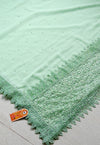 The Avani Vilasa: Mint Green Embroidered Georgette Saree