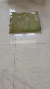 The Prakriti Riva: Pistachio Green Embroidered Cotton Saree