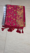 The Crimson Shubh: Crimson Bridal Red Banarasi Silk Saree With Gold Zari Jaal
